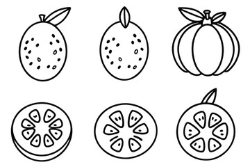 guava line art bold and beautiful artistic sketch