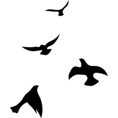 Flying Birds Silhouette