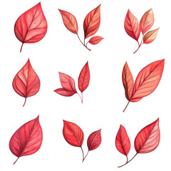 Autumnal Leaf Collection: A collection of stunning, vibrant red leaves showcases the captivating beauty of autumn's artistry.