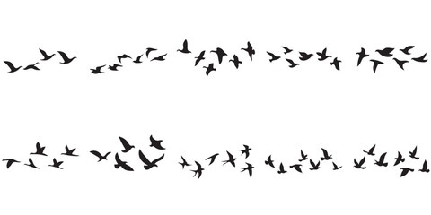 Flying Birds Silhouette