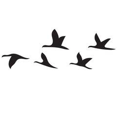 Flying Birds Silhouette