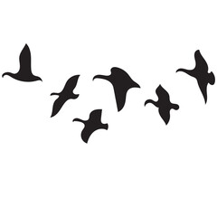 Flying Birds Silhouette