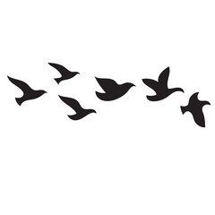 Flying Birds Silhouette