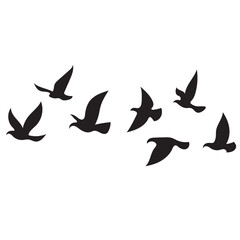 Flying Birds Silhouette