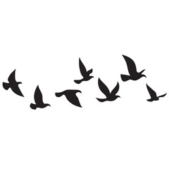 Flying Birds Silhouette