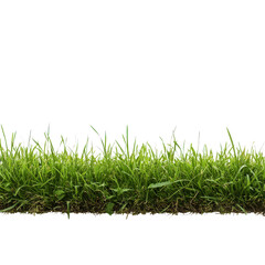Lush Green Grass: A vibrant stretch of green grass, perfect for various design applications.