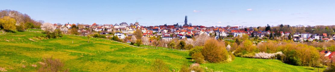 Fototapeta premium the german town of gruenberg panorama