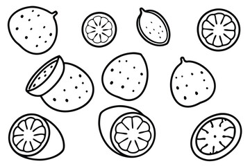 hala fruit line art unique fruit design for decor