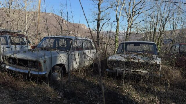 Dolly shot of abandoned cars covered with brushwood in a dry winter field.