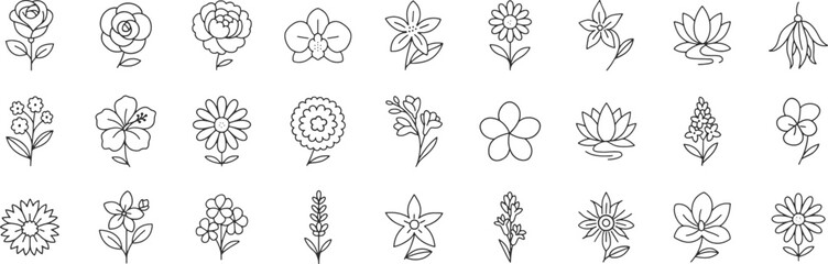 Cosmetic flowers line icon set. Vector pictograms of jasmine, calendula, ylang, geranium, peony, neroli, helichrysum, freesia, magnolia thin linear illustration.