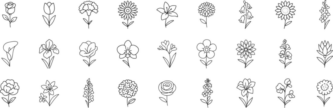 Flower line icon set. Vector pictograms of rose, tulip, daisy, orchid, sunflower, peony, gladiolus, snapdragon, stock, delphinium, thin linear illustration.
