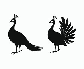 Fototapeta premium Animal Peacock Silhouette EPS Vector Template
