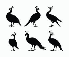 Naklejka premium Peacock Silhouette EPS Vector Template on White Background