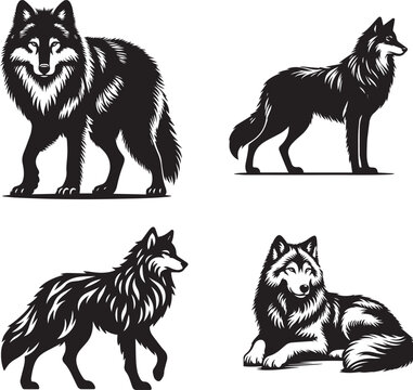 Majestic Akela Wolf Vector Illustration &ndash; Wild Animal Silhouette Art