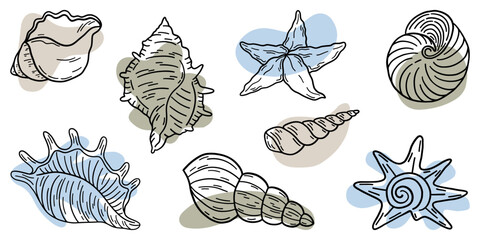 Hand drawn Sea shells freehand line art summer marine design elements collection with abstract pastel color liquid shapes. Vector illustration.