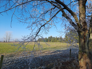 Wiese, Baum, Himmel, Natur, Frost, Landschaft, Winter