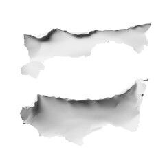 Torn paper strips with curled edges on transparent background