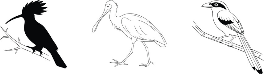 Obraz premium Unique Spoonbill, Striking Hoopoe, and Radiant Green Magpie in Graceful Bird Portraits