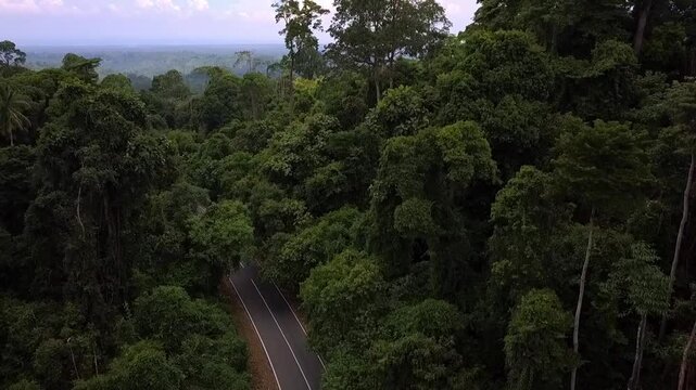 Aerial view of Bukit Barisan Selatan National Park, protecting Sumatra&rsquo;s tropical rainforest and rich biodiversity with dense jungle canopy and natural landscape.