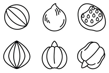 hazelnut line art depiction with graceful fine line details