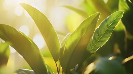 Lush leaves touched by warm light with soft bokeh backdrop, shallow focus, close-up perspective, nature-inspired tranquility  