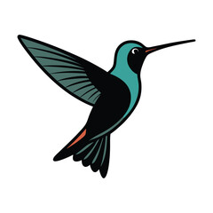 Teal and Black Hummingbird Illustration