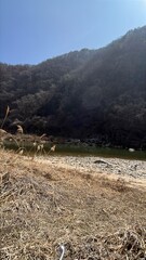 mountain landscape with river