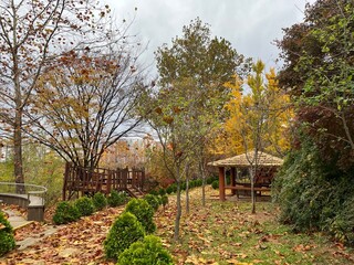 autumn landscape with a house