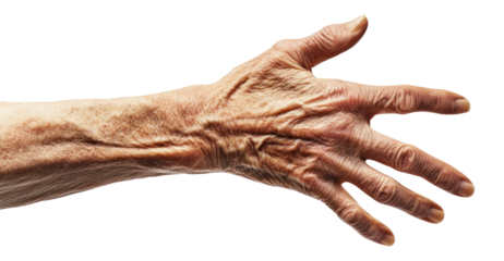 PNG Hand skin wrinkles wrinkled.