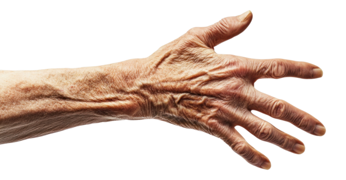 PNG Hand skin wrinkles wrinkled.