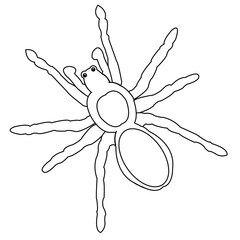 Cute cartoon hand drawn vector tarantula coloring page.