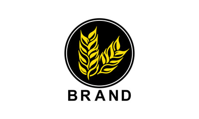 barley plant logo, wheat logo