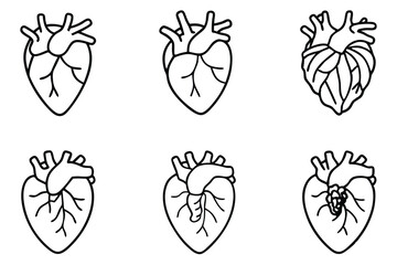 heart anatomy line art diagram of heart chambers
