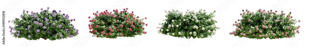 Aufkleber collection of hydrangea bush in blossom isolated on transparent background. 3d render.
