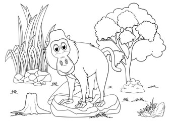 Coloring Baboon Animal Cartoon For Kids