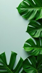  Lush green tropical leaf flatlay, creating a stylish summer pattern on a muted gray surface , overhead, greenery