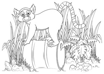 Coloring Lemur Animal Cartoon For Kids