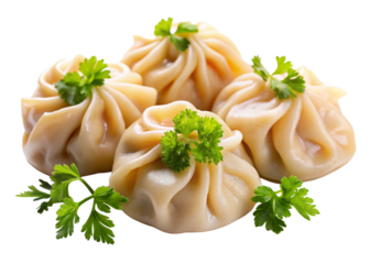 Chicken momo   isolated on white background