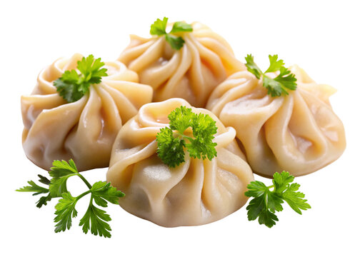 Chicken momo   isolated on white background