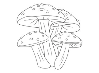 Black and white mushroom illustration for kids and adults coloring books. Fun and relaxing line art, perfect for nature-themed creative activities.