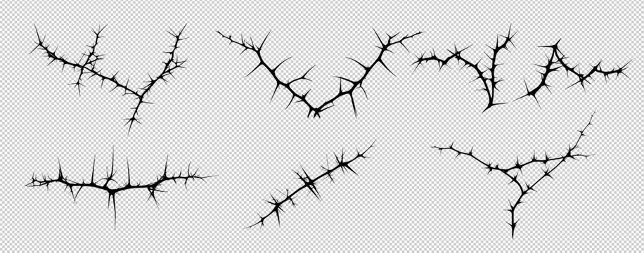 Gothic Thorny Branch Set with Black Borders on Transparent Background Featuring Vector Rose Crowns and Jesus Inspired Designs for Dark Art Themes and Logo Creation.