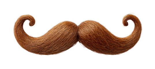 Whimsical mustache graphic design creative environment view fun concept. Isolated on transparent background, png.