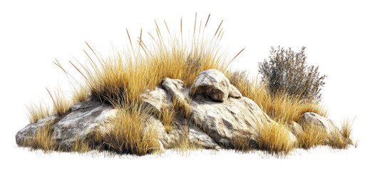 PNG Dry grass meadow rocks vegetation landscape.