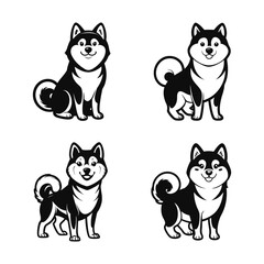 Fototapeta premium Shiba Inu