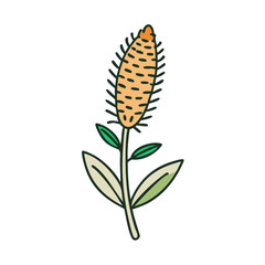Whimsical Hand-Drawn Foxtail Plant Illustration on Black Background