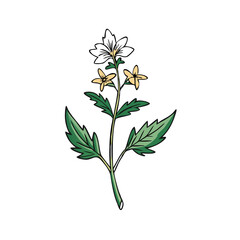 Elegant Yellow Flower Illustration on Black Background