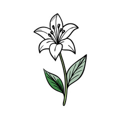 Simple Green Leaves Illustration on Black Background Design