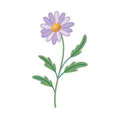 Elegant Purple Daisy Flower Illustration on Black Background