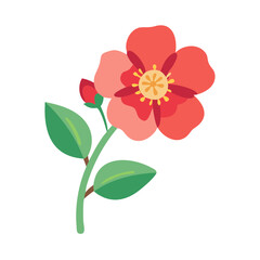 Isolated coral flower on black background with green leaves