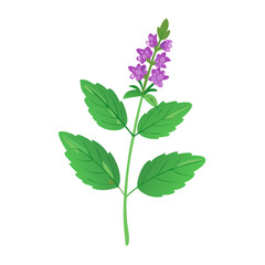 Cartoon Spearmint Plant with Flowers Isolated on Black